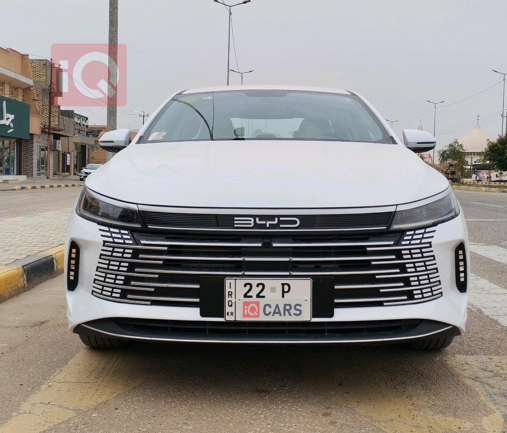 بی وای دی دیسترۆیەر 05